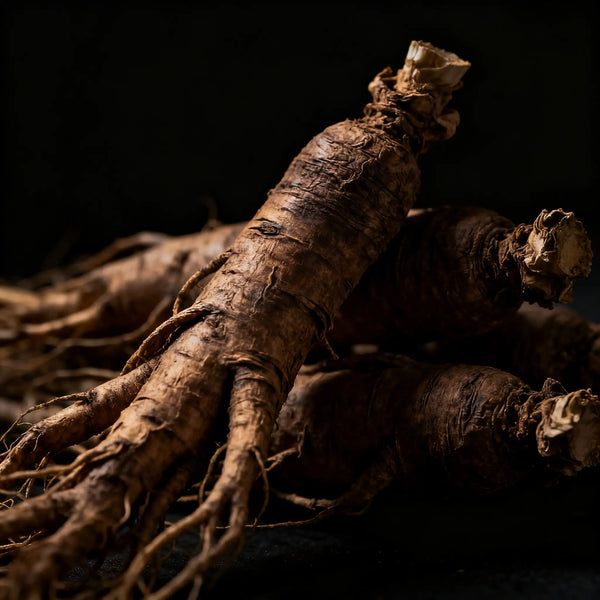 Ginseng