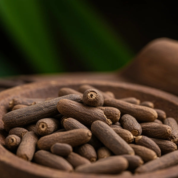 Thailand Butea Superba