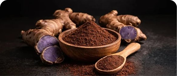 Black Ginger Extract