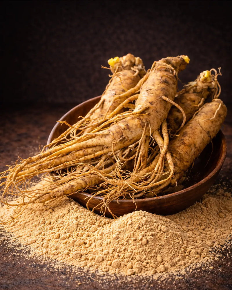 KOREAN RED GINSENG