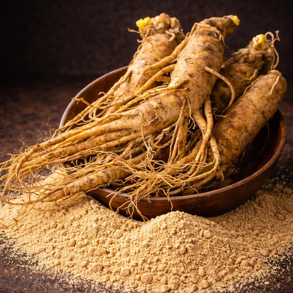 KOREAN RED GINSENG