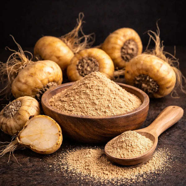 MACA Extract