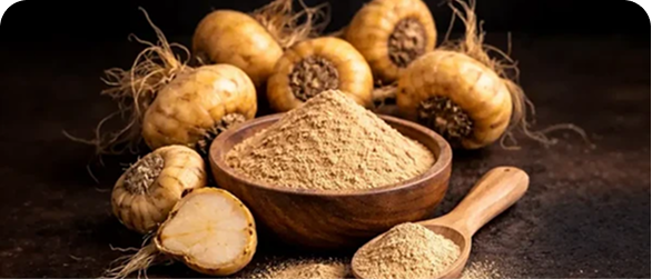 Maca Extract