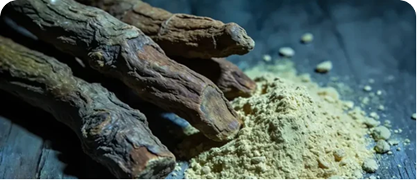 Tongkat Ali Extract