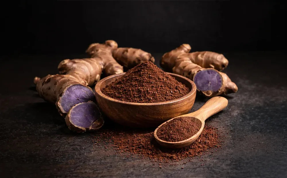 Black Ginger Extract